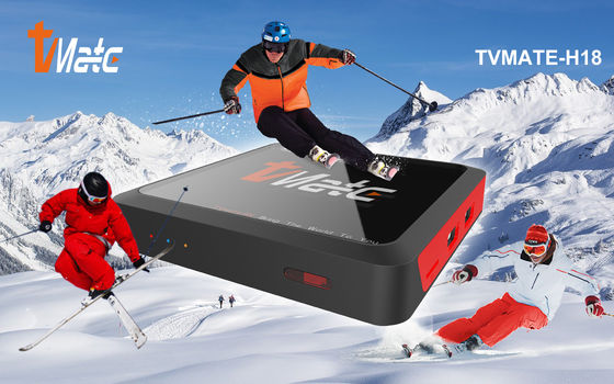 Widevine L1 アンドロイド 10.0 TV BOX すべての勝者 H313 カスタマイズ OTT アンドロイド TV ボックス